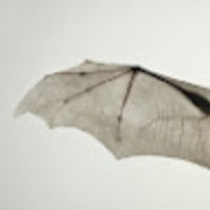 Meet your Posher, Mika